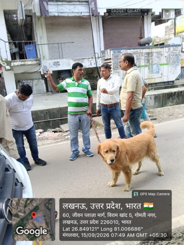 WhatsApp Image 2026-09-15 at 8.12.00 PM
