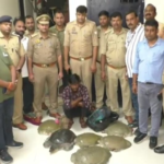 6acda4c380e07-varanasi-smuggler-caught-on-train-while-transporting-rare-turtles-132554554-16x9 (2)