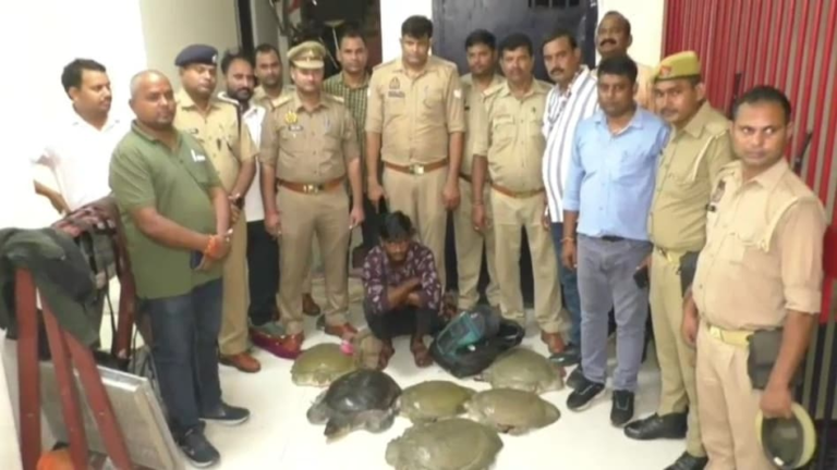 6acda4c380e07-varanasi-smuggler-caught-on-train-while-transporting-rare-turtles-132554554-16x9 (2)