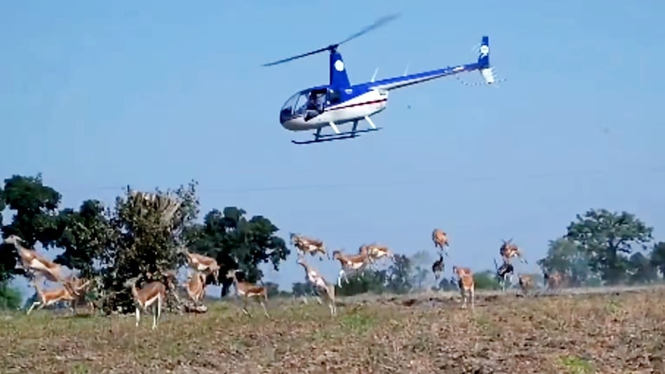 6ad36454edd6c-blackbuck-rescue-170435935-16x9