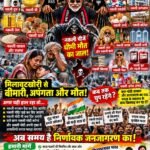 WhatsApp Image 2026-10-19 at 2.31.22 PM
